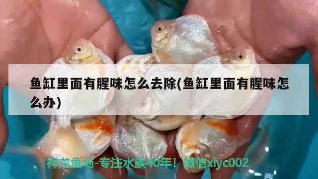 魚缸里面有腥味怎么去除(魚缸里面有腥味怎么辦)