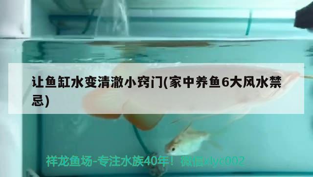 讓魚(yú)缸水變清澈小竅門(家中養(yǎng)魚(yú)6大風(fēng)水禁忌) 魚(yú)缸風(fēng)水