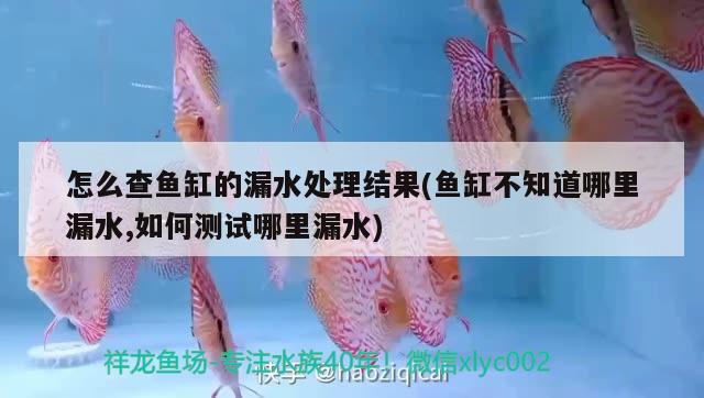 怎么查魚缸的漏水處理結(jié)果(魚缸不知道哪里漏水,如何測(cè)試哪里漏水) iwish愛唯希品牌魚缸