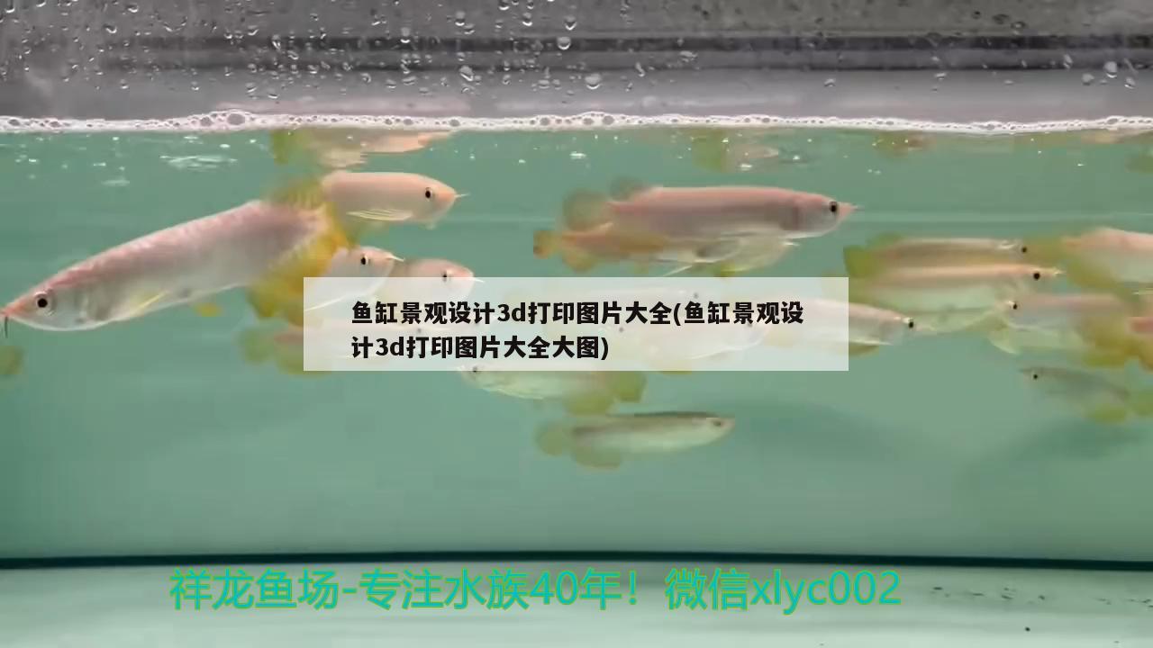 魚缸景觀設(shè)計(jì)3d打印圖片大全(魚缸景觀設(shè)計(jì)3d打印圖片大全大圖)