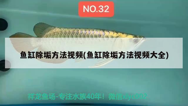 魚缸除垢方法視頻(魚缸除垢方法視頻大全)