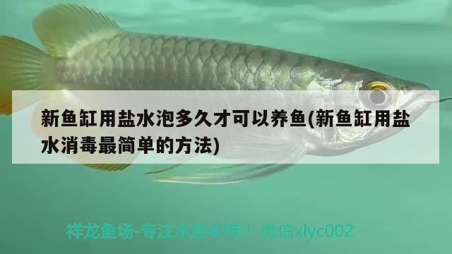 新魚缸用鹽水泡多久才可以養(yǎng)魚(新魚缸用鹽水消毒最簡單的方法)