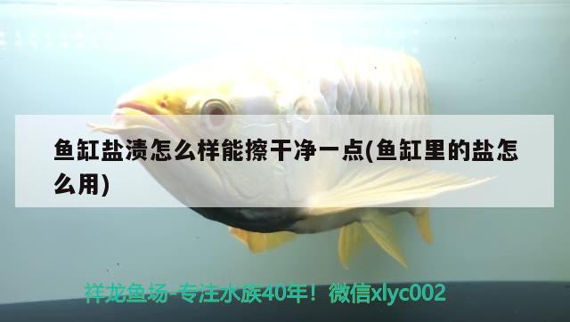 魚缸鹽漬怎么樣能擦干凈一點(魚缸里的鹽怎么用) 野生地圖魚