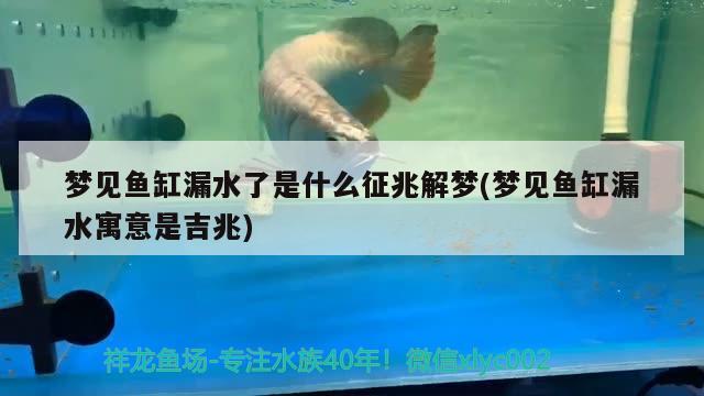 夢見魚缸漏水了是什么征兆解夢(夢見魚缸漏水寓意是吉兆)