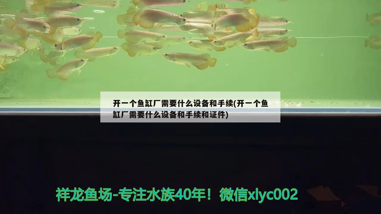 開一個(gè)魚缸廠需要什么設(shè)備和手續(xù)(開一個(gè)魚缸廠需要什么設(shè)備和手續(xù)和證件)