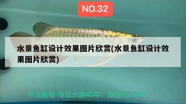 水景魚(yú)缸設(shè)計(jì)效果圖片欣賞(水景魚(yú)缸設(shè)計(jì)效果圖片欣賞)