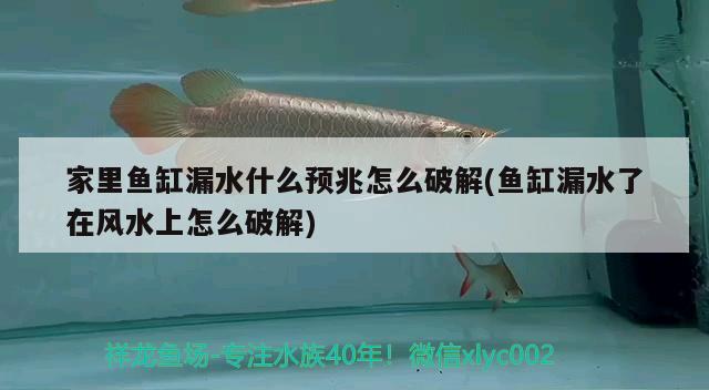 家里魚缸漏水什么預(yù)兆怎么破解(魚缸漏水了在風(fēng)水上怎么破解)