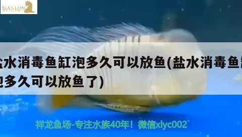 鹽水消毒魚缸泡多久可以放魚(鹽水消毒魚缸泡多久可以放魚了)