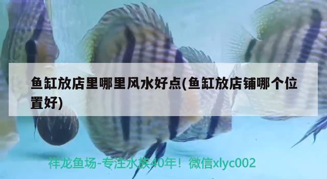 魚缸放店里哪里風(fēng)水好點(diǎn)(魚缸放店鋪哪個位置好) 魚缸風(fēng)水