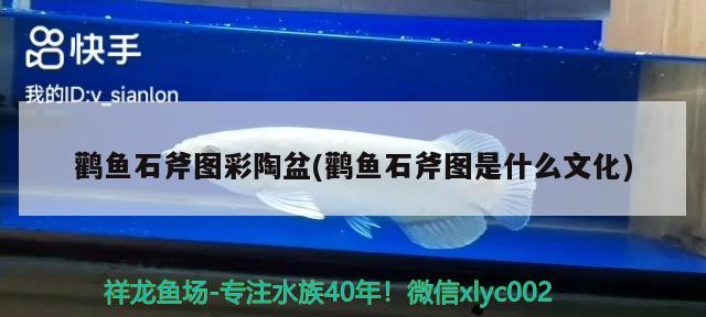 鸛魚(yú)石斧圖彩陶盆(鸛魚(yú)石斧圖是什么文化)