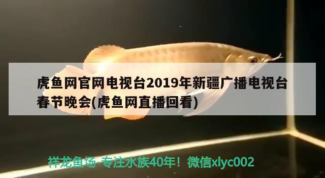 虎魚網(wǎng)官網(wǎng)電視臺2019年新疆廣播電視臺春節(jié)晚會(虎魚網(wǎng)直播回看)