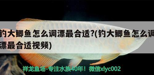 釣大鯽魚怎么調(diào)漂最合適?(釣大鯽魚怎么調(diào)漂最合適視頻)