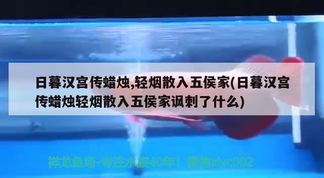 日暮漢宮傳蠟燭,輕煙散入五侯家(日暮漢宮傳蠟燭輕煙散入五侯家諷刺了什么)