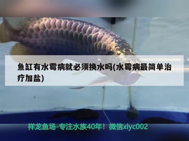 魚(yú)缸有水霉病就必須換水嗎(水霉病最簡(jiǎn)單治療加鹽)