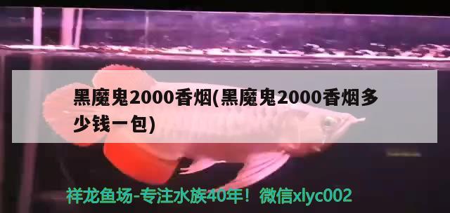 黑魔鬼2000香煙(黑魔鬼2000香煙多少錢一包)