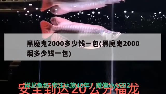 黑魔鬼2000多少錢一包(黑魔鬼2000煙多少錢一包)