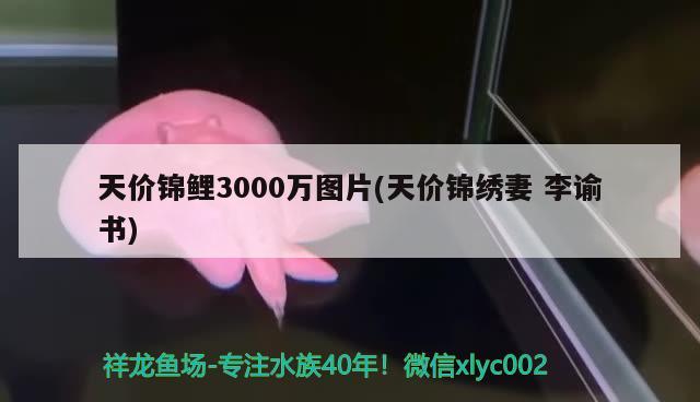 天價錦鯉3000萬圖片(天價錦繡妻李諭書)