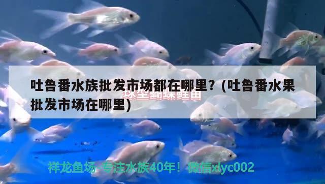 吐魯番水族批發(fā)市場都在哪里？(吐魯番水果批發(fā)市場在哪里)