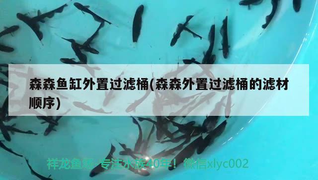 森森魚缸外置過濾桶(森森外置過濾桶的濾材順序) 其他益生菌