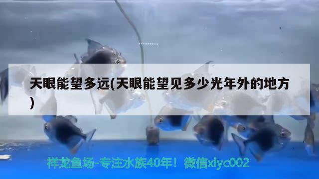 天眼能望多遠(yuǎn)(天眼能望見多少光年外的地方) 觀賞魚 第1張