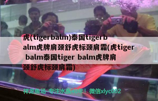 虎(tigerbalm)泰國tigerbalm虎牌肩頸舒虎標(biāo)頸肩霜(虎tigerbalm泰國tigerbalm虎牌肩頸舒虎標(biāo)頸肩霜)