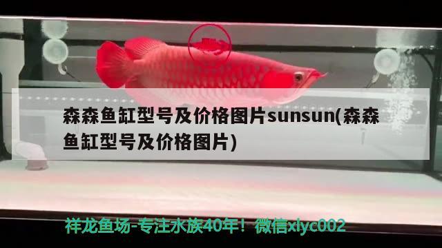 森森魚(yú)缸型號(hào)及價(jià)格圖片sunsun(森森魚(yú)缸型號(hào)及價(jià)格圖片) 廣州觀賞魚(yú)魚(yú)苗批發(fā)市場(chǎng) 第1張