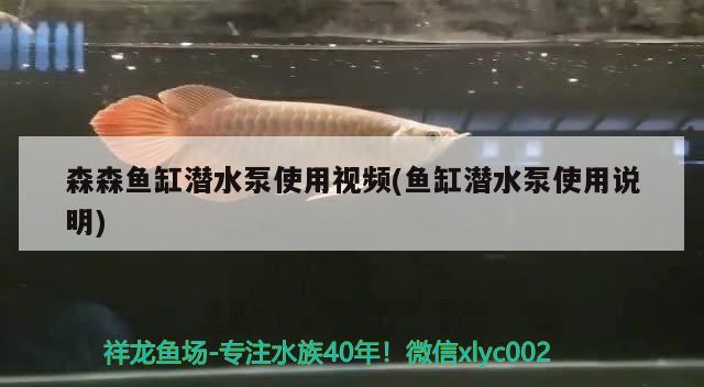 森森魚缸潛水泵使用視頻(魚缸潛水泵使用說明)