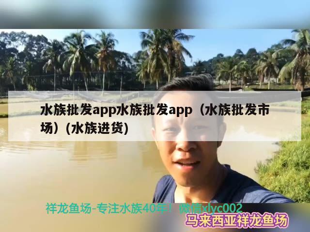 水族批發(fā)app水族批發(fā)app（水族批發(fā)市場）(水族進(jìn)貨) 觀賞魚水族批發(fā)市場