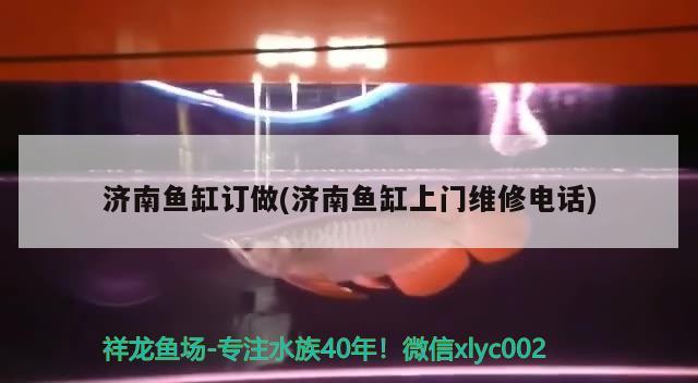 濟南魚缸訂做(濟南魚缸上門維修電話)