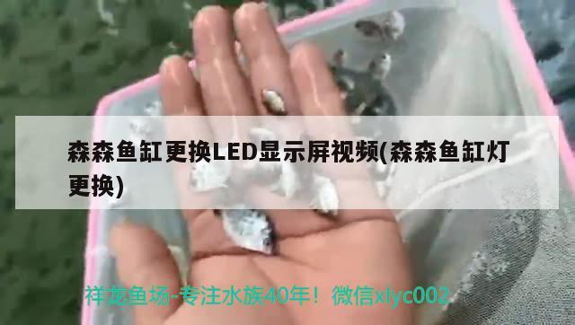 森森魚缸更換LED顯示屏視頻(森森魚缸燈更換)