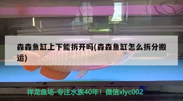 森森魚缸上下能拆開嗎(森森魚缸怎么拆分搬運) 紅尾平克魚 第2張