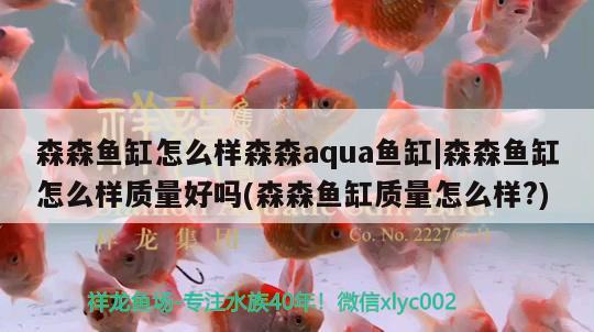 森森魚缸怎么樣森森aqua魚缸|森森魚缸怎么樣質(zhì)量好嗎(森森魚缸質(zhì)量怎么樣?)