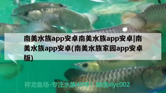 南美水族app安卓南美水族app安卓|南美水族app安卓(南美水族家園app安卓版) 一眉道人魚