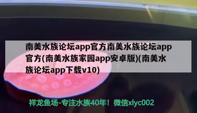 南美水族論壇app官方南美水族論壇app官方(南美水族家園app安卓版)(南美水族論壇app下載v10) 充氧泵