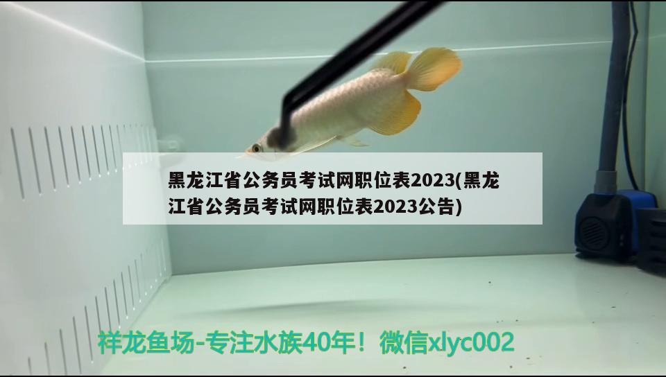 黑龍江省公務(wù)員考試網(wǎng)職位表2023(黑龍江省公務(wù)員考試網(wǎng)職位表2023公告) 觀賞魚