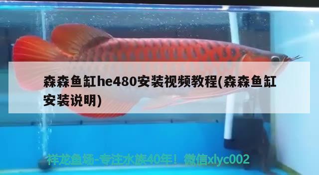 森森魚缸he480安裝視頻教程(森森魚缸安裝說明)