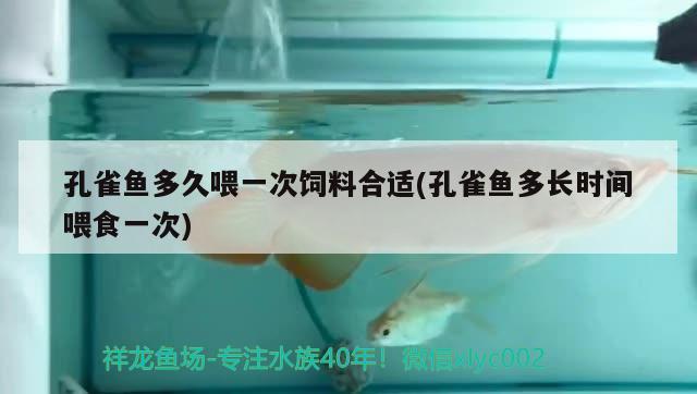 孔雀魚多久喂一次飼料合適(孔雀魚多長時間喂食一次)