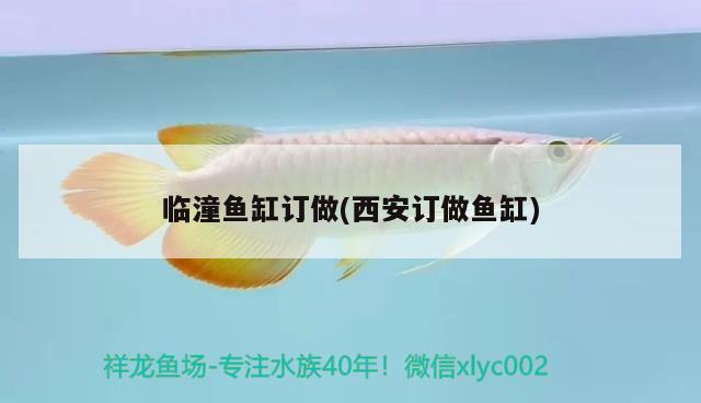 臨潼魚缸訂做(西安訂做魚缸)