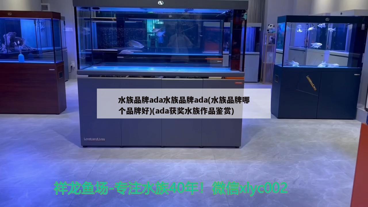 水族品牌ada水族品牌ada(水族品牌哪個(gè)品牌好)(ada獲獎(jiǎng)水族作品鑒賞) 水族品牌