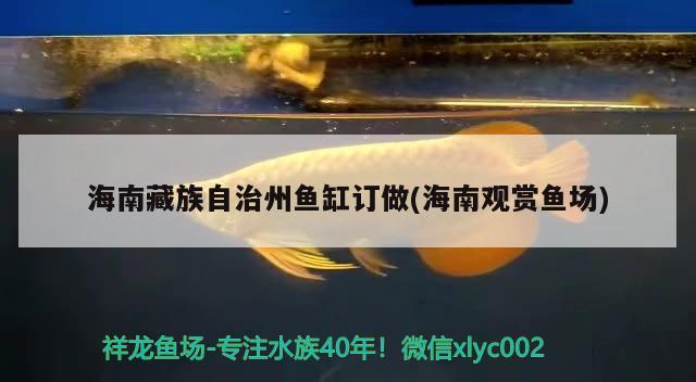 海南藏族自治州魚缸訂做(海南觀賞魚場)