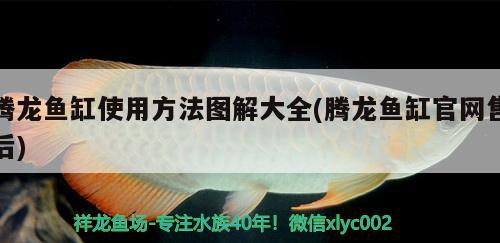 騰龍魚缸使用方法圖解大全(騰龍魚缸官網(wǎng)售后) 造景/裝飾