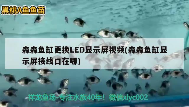 森森魚缸更換LED顯示屏視頻(森森魚缸顯示屏接線口在哪) 水族燈（魚缸燈）