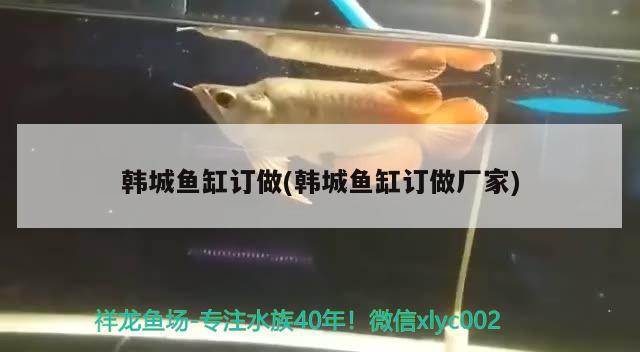 韓城魚缸訂做(韓城魚缸訂做廠家) 潛水艇魚