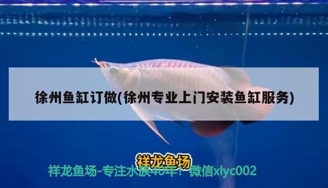 徐州魚缸訂做(徐州專業(yè)上門安裝魚缸服務(wù)) 黃金河虎魚