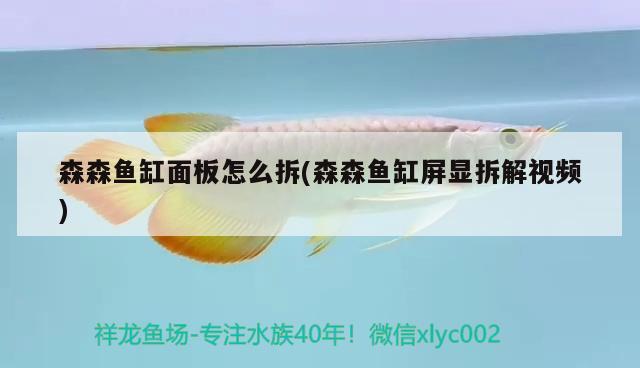 森森魚(yú)缸面板怎么拆(森森魚(yú)缸屏顯拆解視頻)