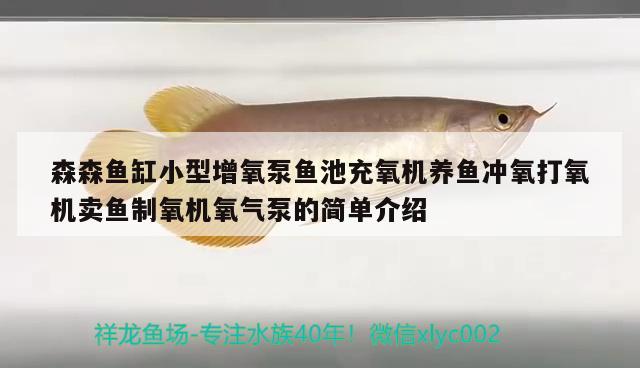 森森魚缸小型增氧泵魚池充氧機(jī)養(yǎng)魚沖氧打氧機(jī)賣魚制氧機(jī)氧氣泵的簡單介紹 黑白雙星