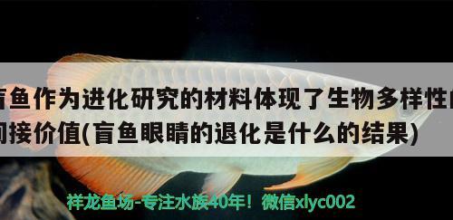 盲魚作為進化研究的材料體現(xiàn)了生物多樣性的間接價值(盲魚眼睛的退化是什么的結(jié)果)