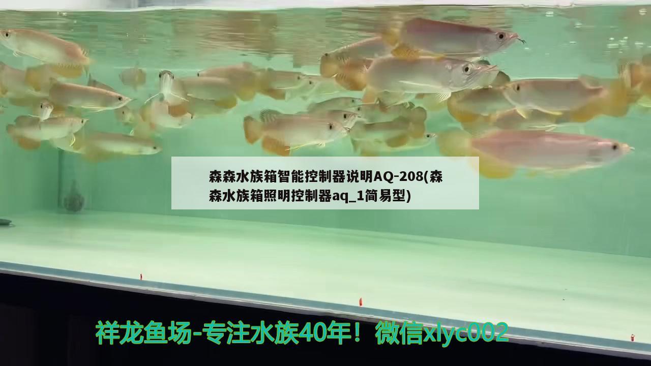 森森水族箱智能控制器說(shuō)明AQ-208(森森水族箱照明控制器aq_1簡(jiǎn)易型)