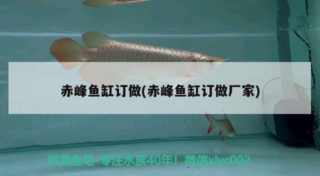 赤峰魚缸訂做(赤峰魚缸訂做廠家)