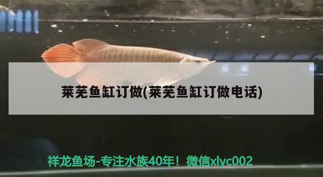 萊蕪魚缸訂做(萊蕪魚缸訂做電話) 檸檬鯽